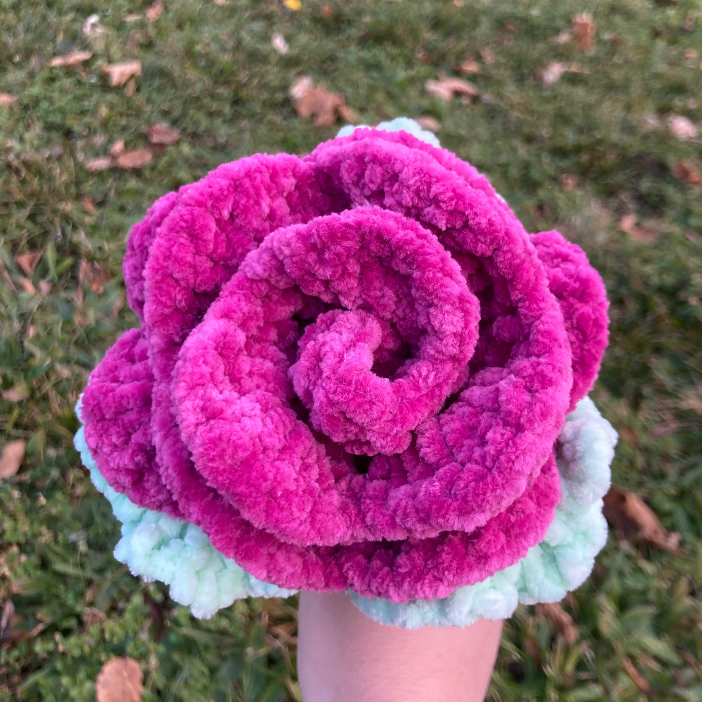 Rose fluffy